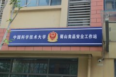 提拔精细平