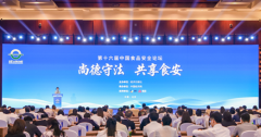 共治款式正正在构成 共治款式正正在构成